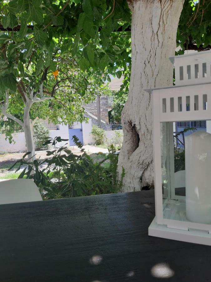 Villa Avli Kardhamili Exteriör bild