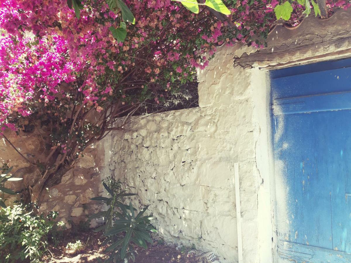 Villa Avli Kardhamili Exteriör bild